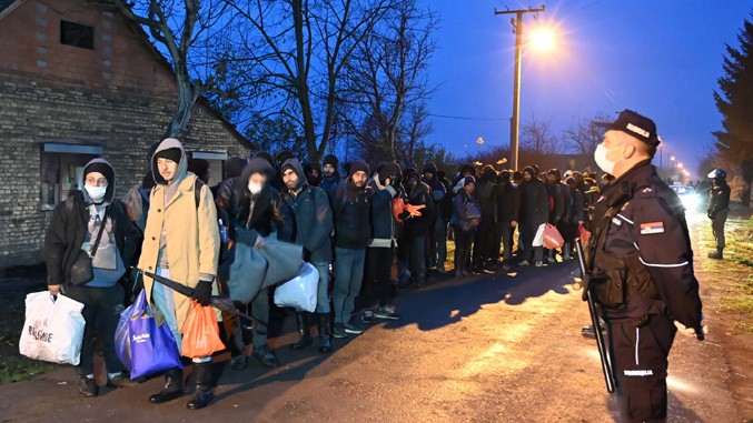677z381 novi knezevac 2 politika.rs
