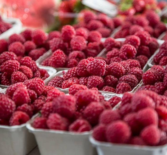 maline foto shutterstock 1
