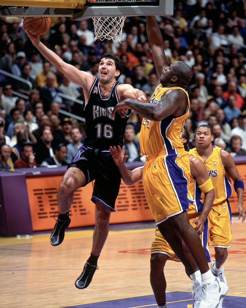 peja stojakovic 1