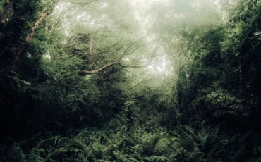 photo 1689706277527 e03ca1203a6f