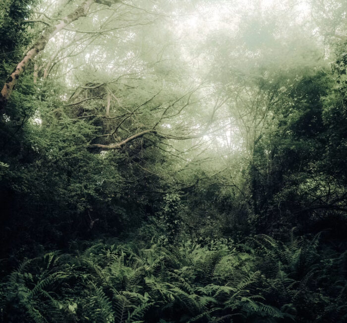 photo 1689706277527 e03ca1203a6f